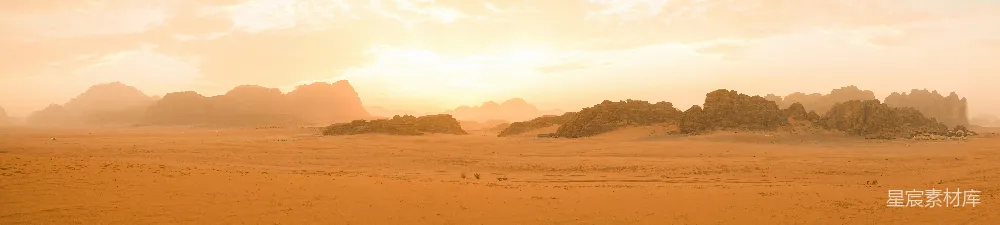 高清摄影 夕阳下的荒漠景观，树影斑驳。