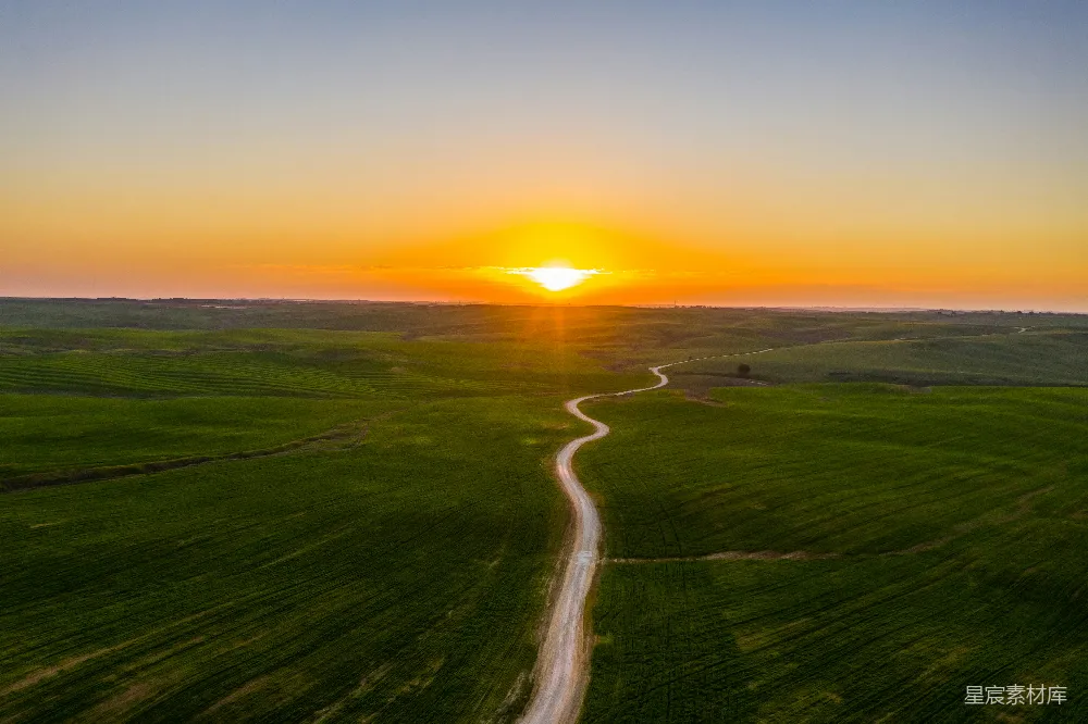 高清摄影 夕阳下的绿草地