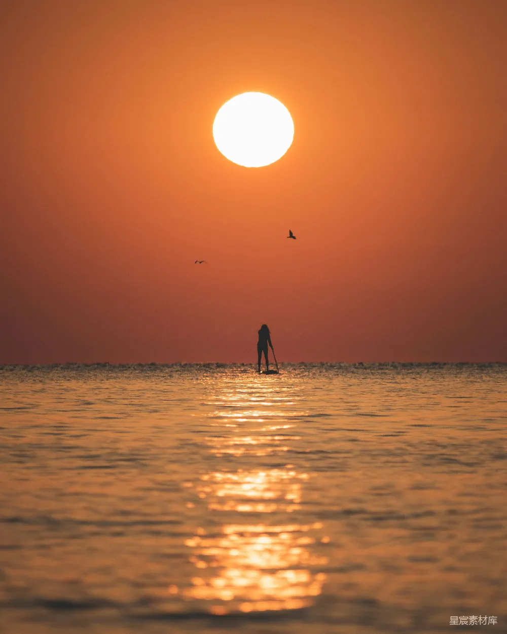 高清摄影 夕阳下的海边，一个人站在冲浪板上。