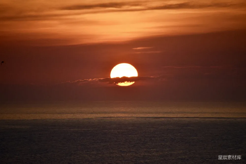 高清摄影 夕阳下海面上飞鸟的轮廓