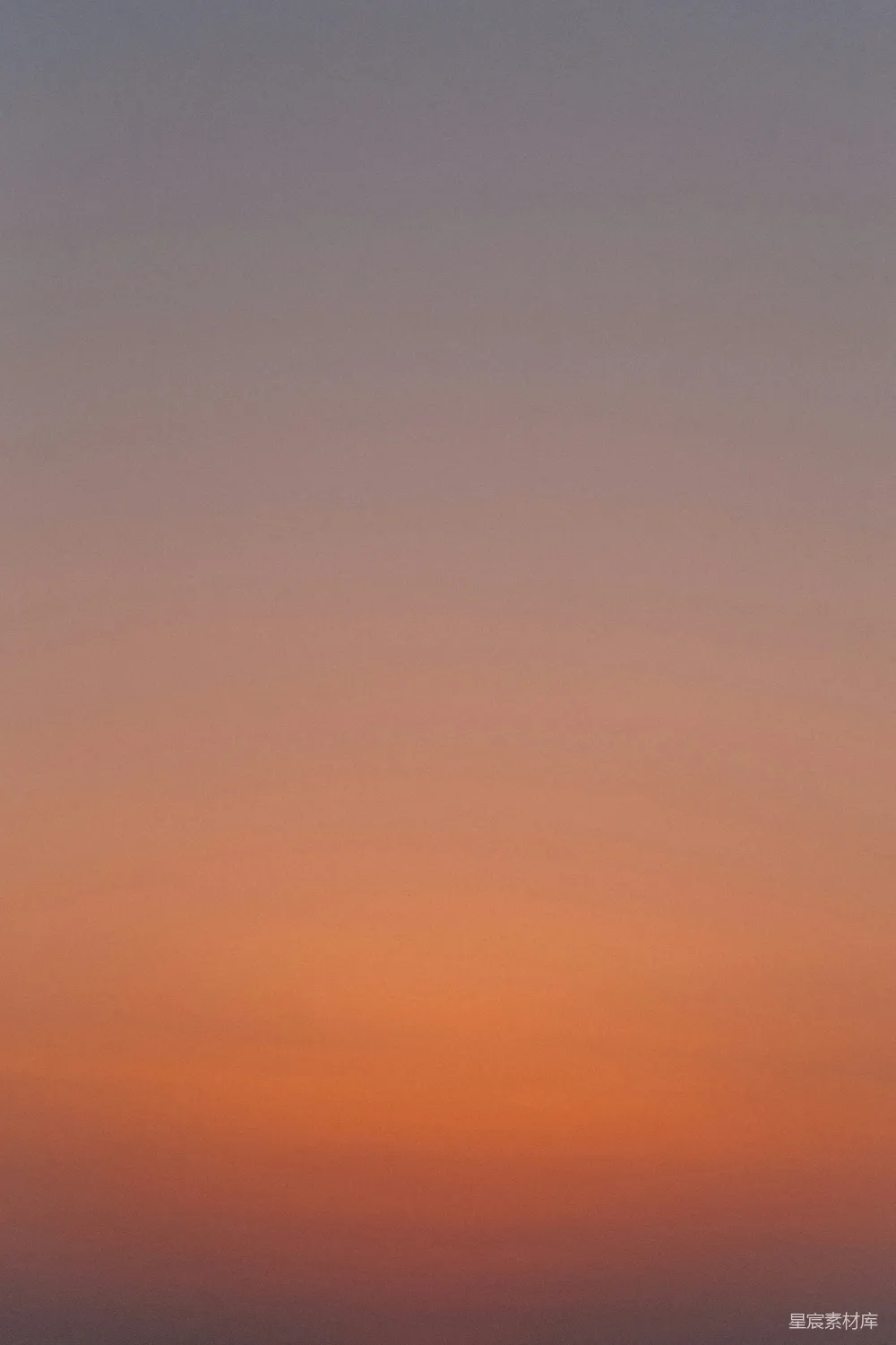 高清摄影 夕阳的特写
