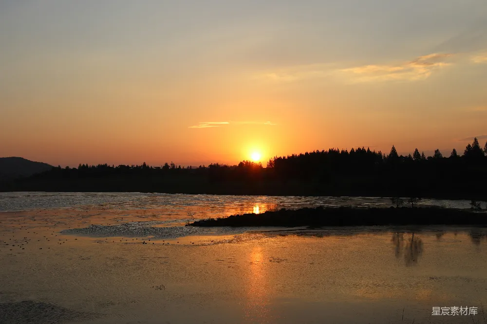 高清摄影 夕阳下树木近处水面的轮廓
