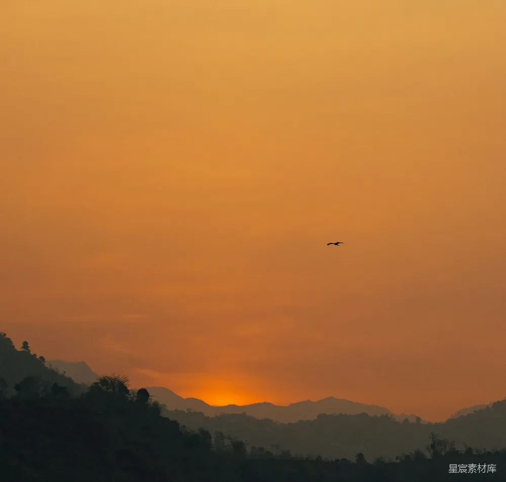 高清摄影 高空飞翔的飞机在夕阳下