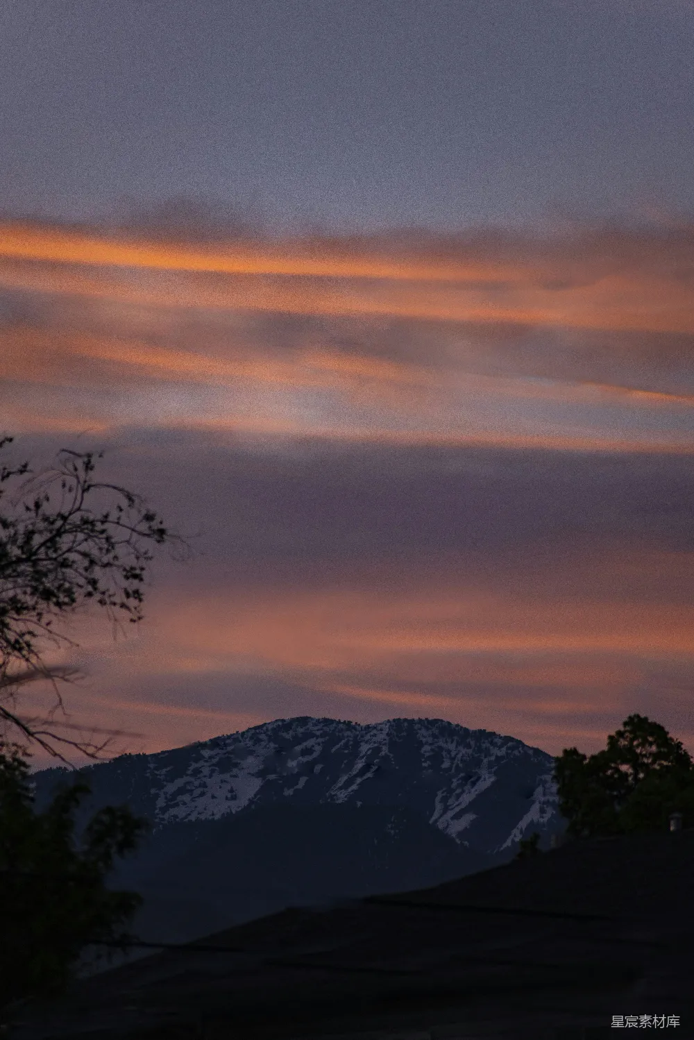 高清摄影 夕阳下树木与山峦的轮廓
