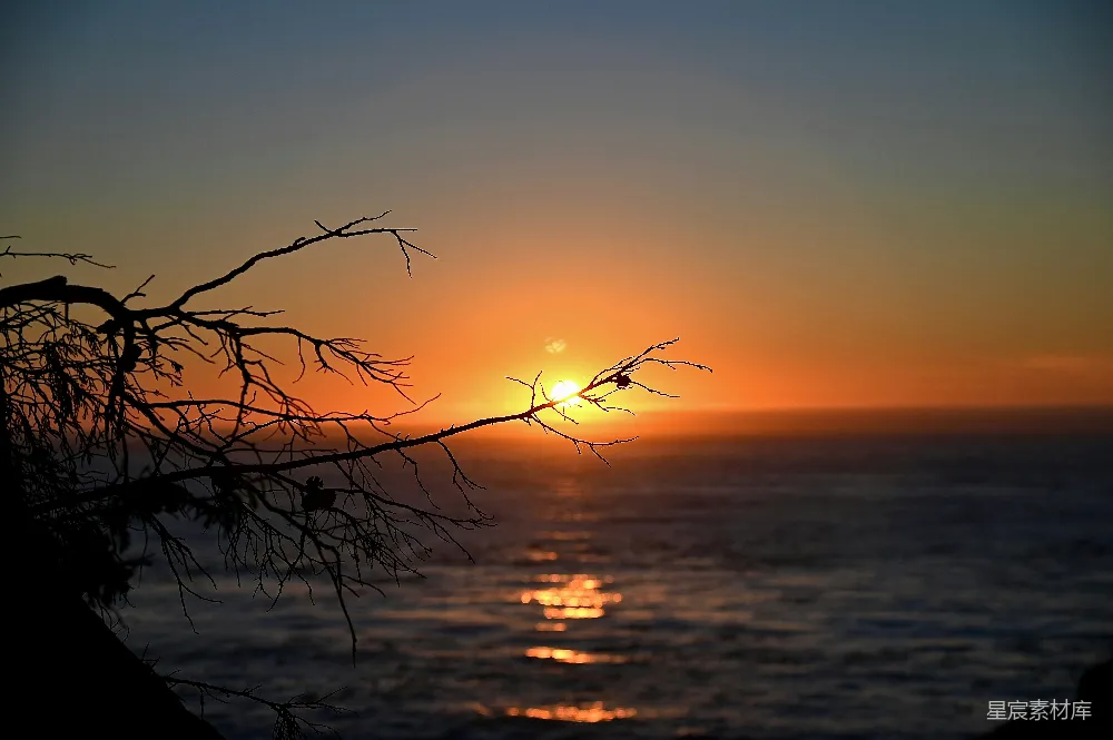 高清摄影 夕阳西下，海面上有一根树干作为前景。