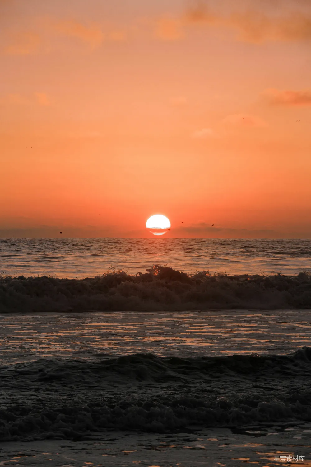 高清摄影 夕阳下海浪拍打在岸边