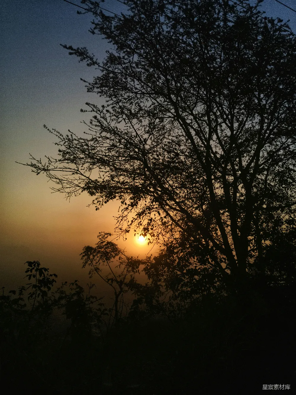 高清摄影 夕阳落在一棵树的后面