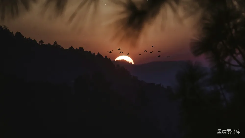 高清摄影 山间夕阳西下，天空中有鸟儿飞翔。
