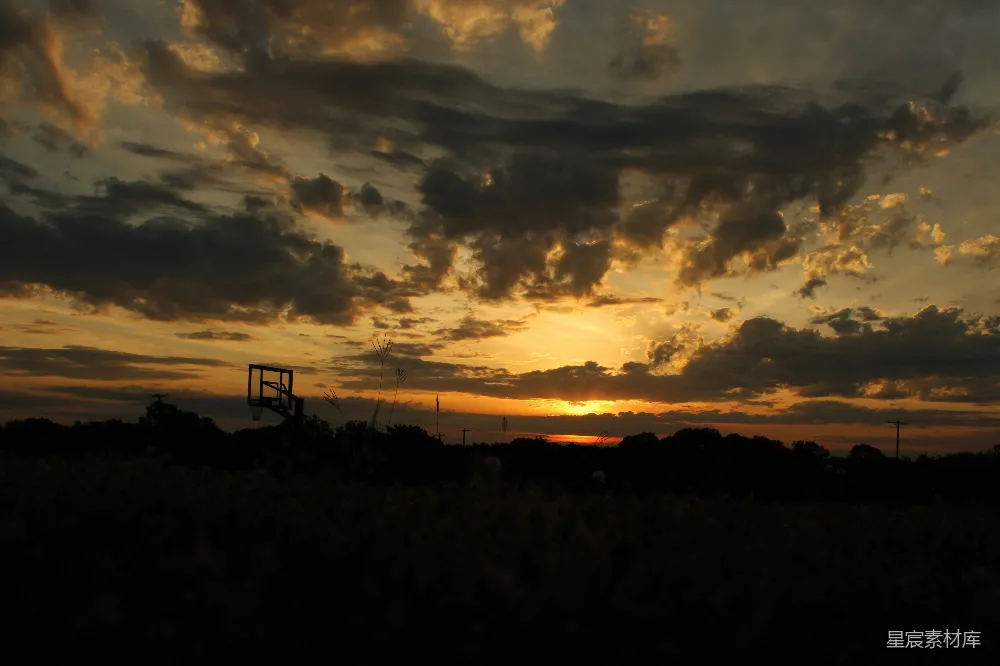 高清摄影 夕阳映照在一片高高的草地上。