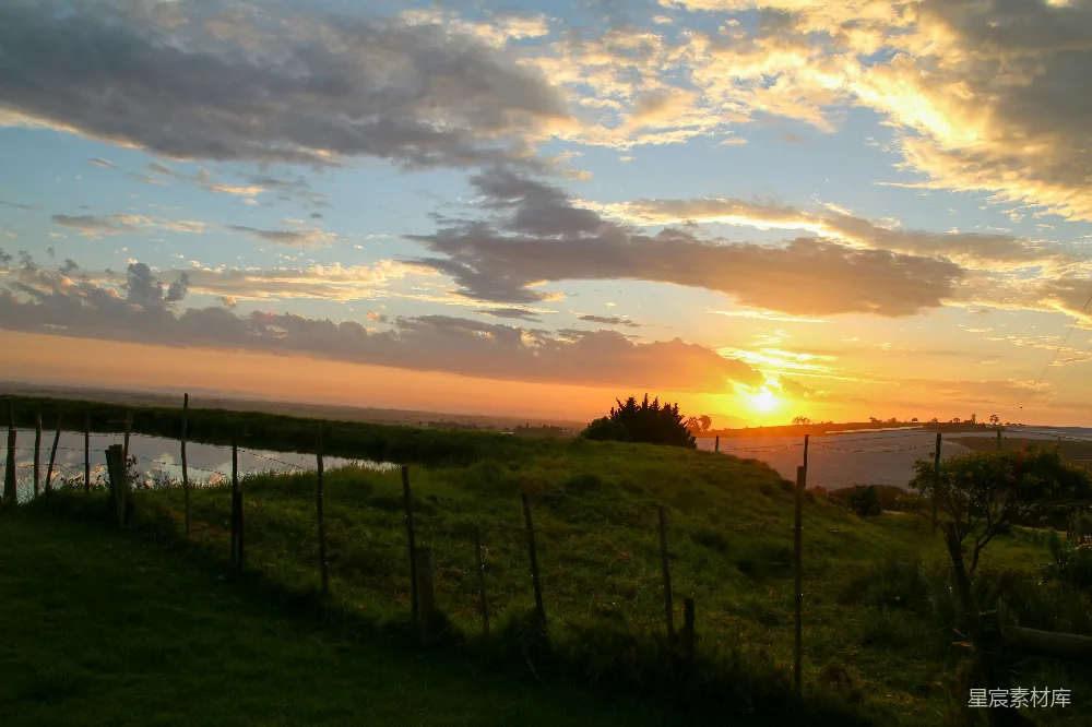 高清摄影 夕阳下的绿色草地