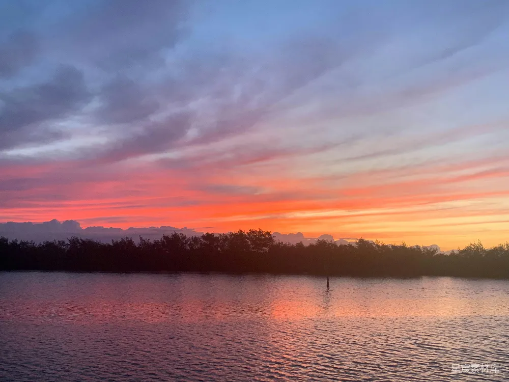 高清摄影 背景中有树木的水面夕阳美景