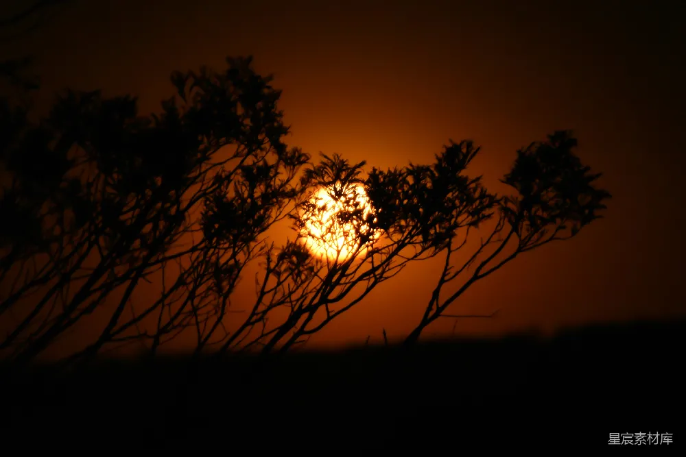 高清摄影 夕阳落在一些树后