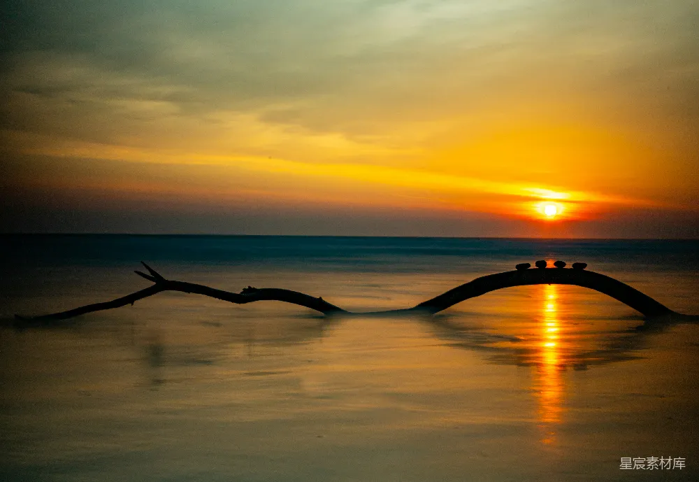 高清摄影 夕阳下的平静海洋中漂浮着一根木头树枝。