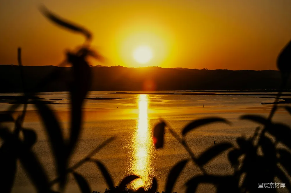 高清摄影 夕阳西下，落在一片水域之上。