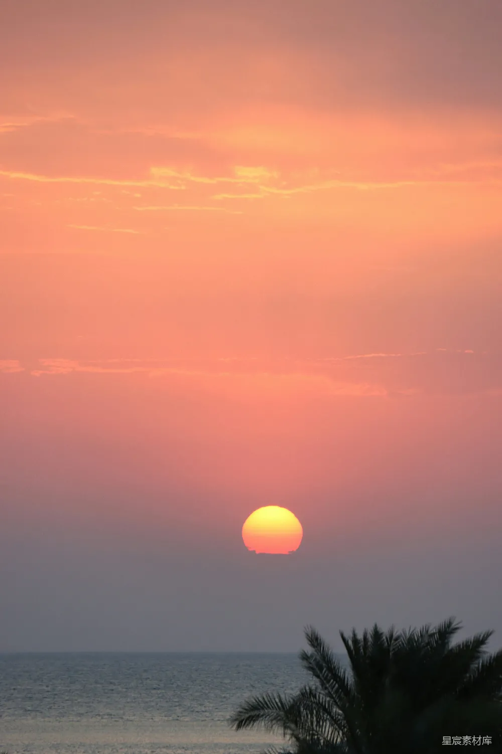 高清摄影 夕阳西下，海天之间点缀着棕榈树。