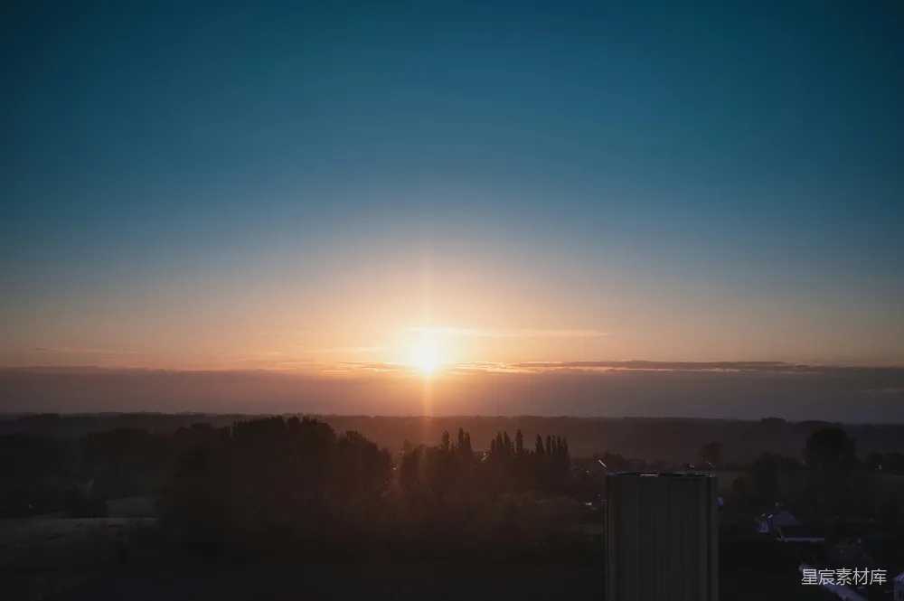 高清摄影 夕阳下的树影轮廓