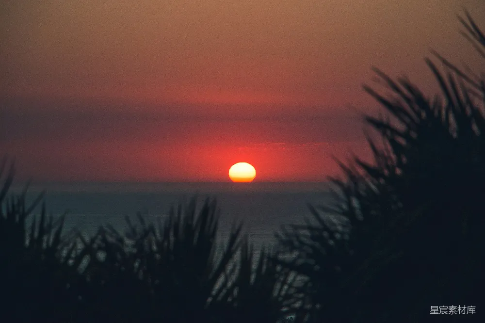 高清摄影 夕阳西下，树木若隐若现。