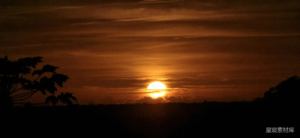 高清摄影 天边的太阳正在树林上方落下