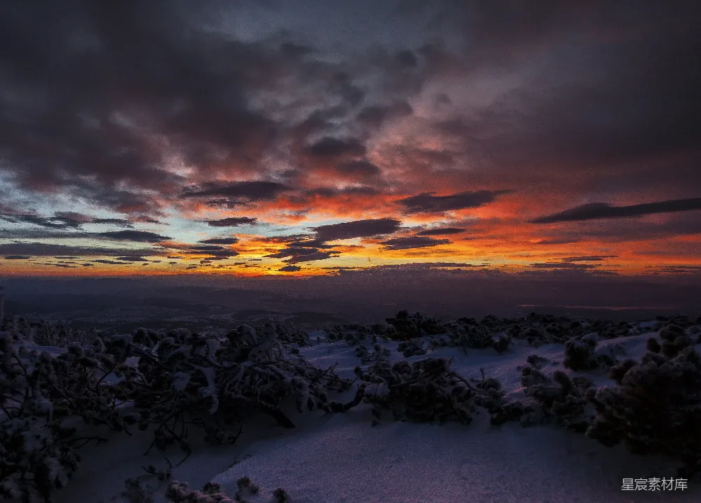 高清摄影 一片雪原上的夕阳与树木