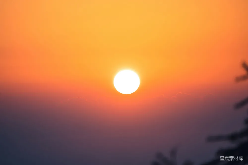 高清摄影 天边的太阳正在落下，笼罩在树梢之间。
