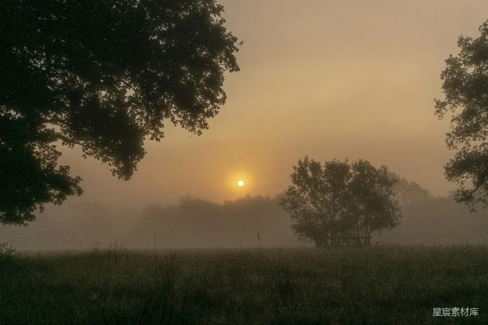 高清摄影 夕阳下的绿草 fields