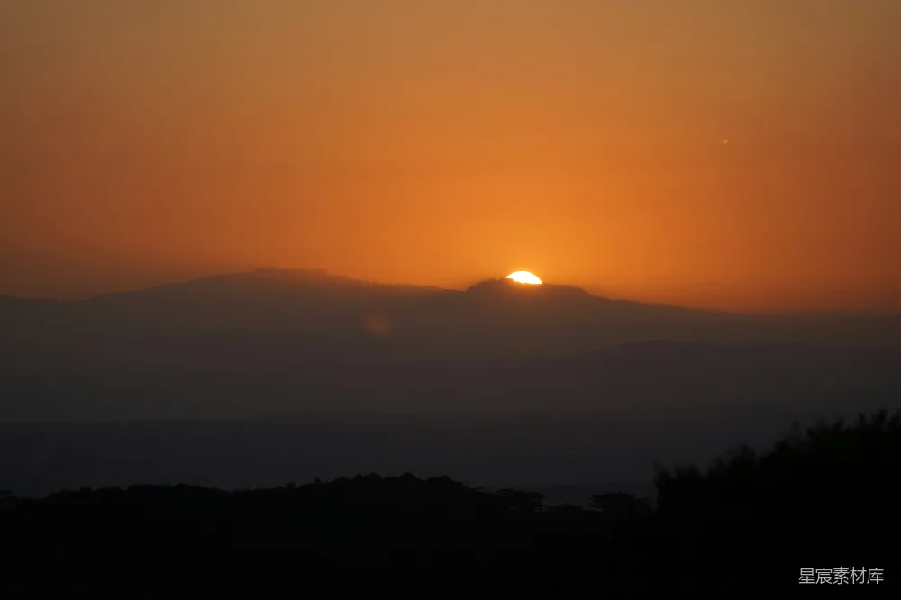 高清摄影 夕阳下的树影轮廓