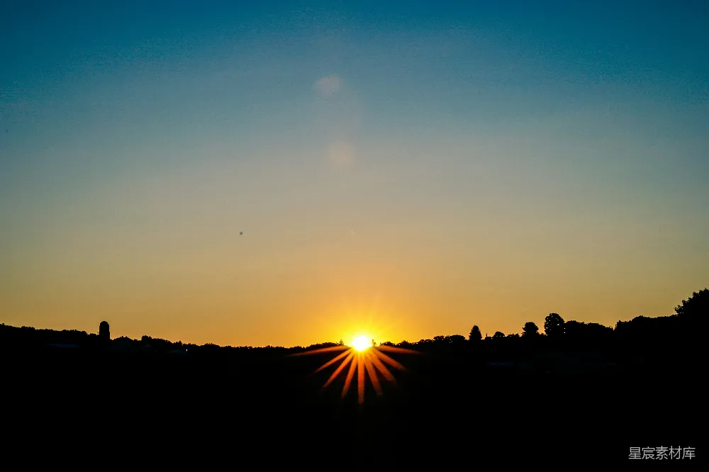 高清摄影 夕阳下树的轮廓
