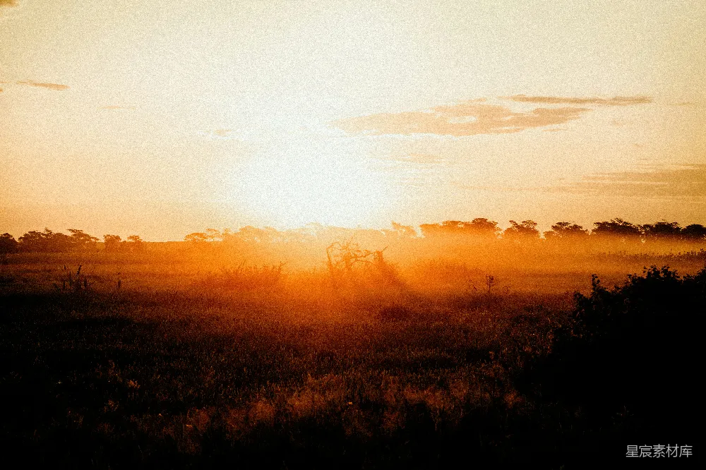 高清摄影 夕阳映照在一片草地上。