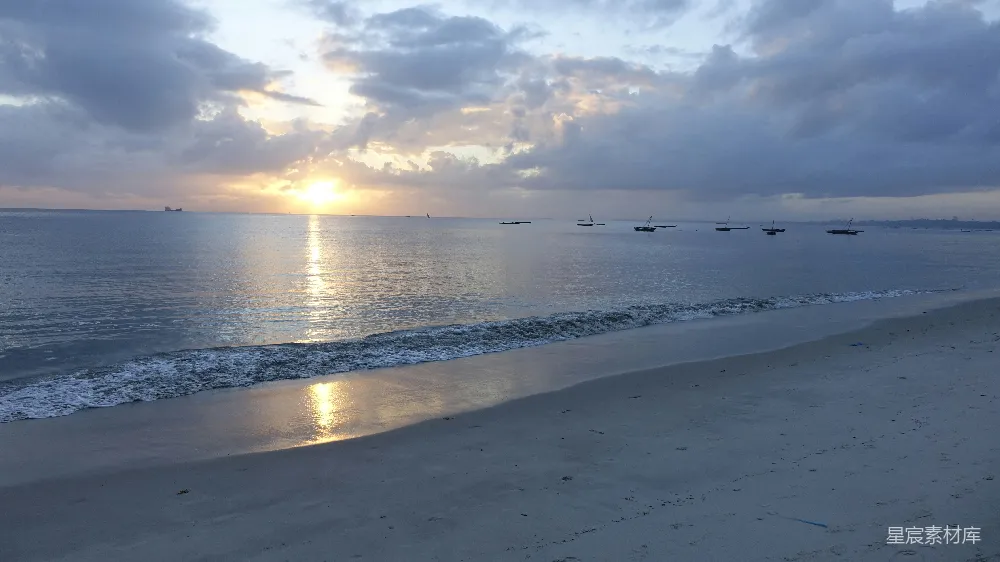 高清摄影 白天海面上飞翔的鸟儿