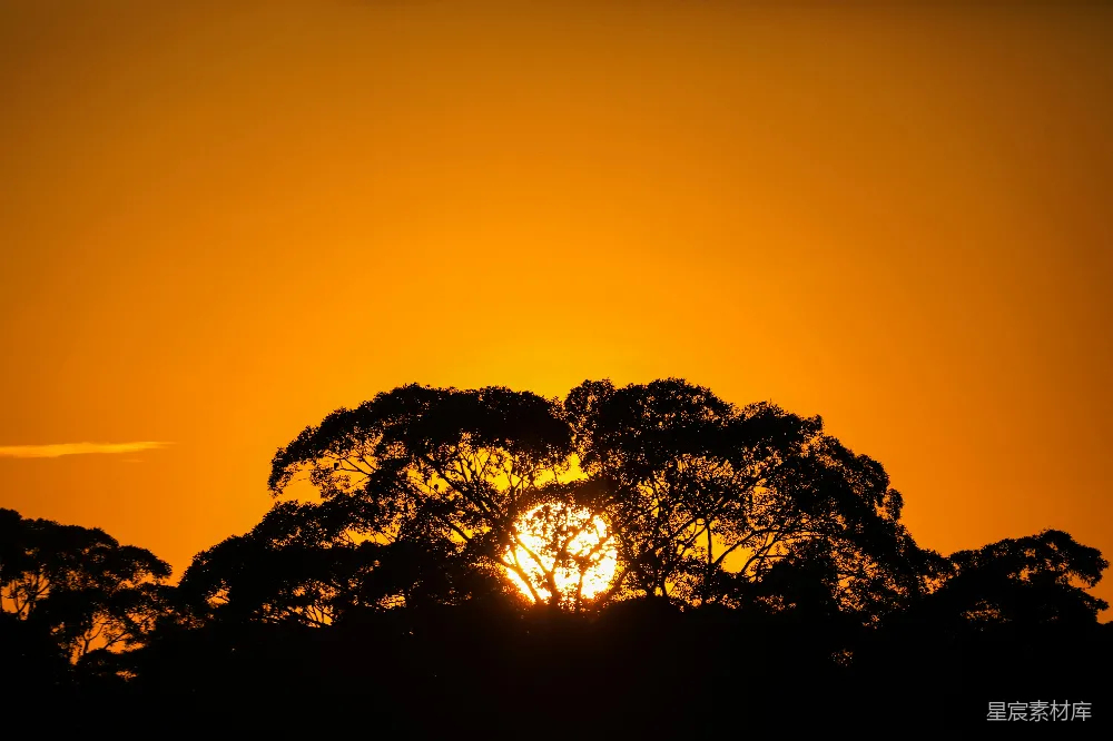 高清摄影 夕阳落在一些树后面
