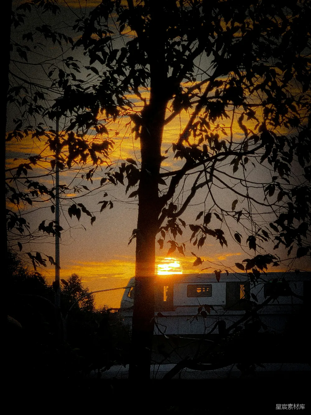 高清摄影 夕阳下树影的轮廓与一个露营者。