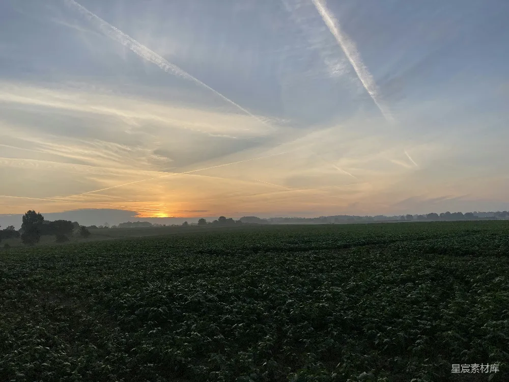 高清摄影 夕阳落下一片麦田之上。