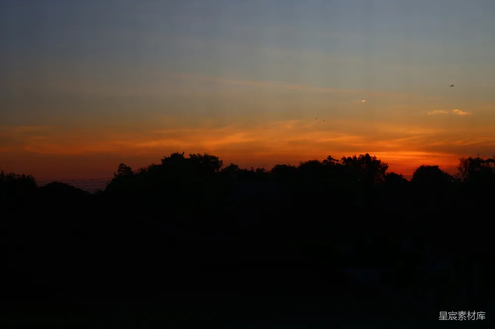 高清摄影 夕阳把轮廓树木染成了一幅天空的画卷。