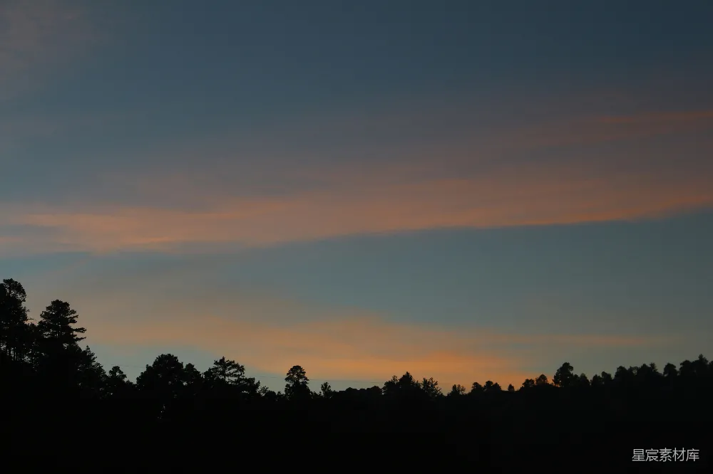 高清摄影 夕阳下树的轮廓