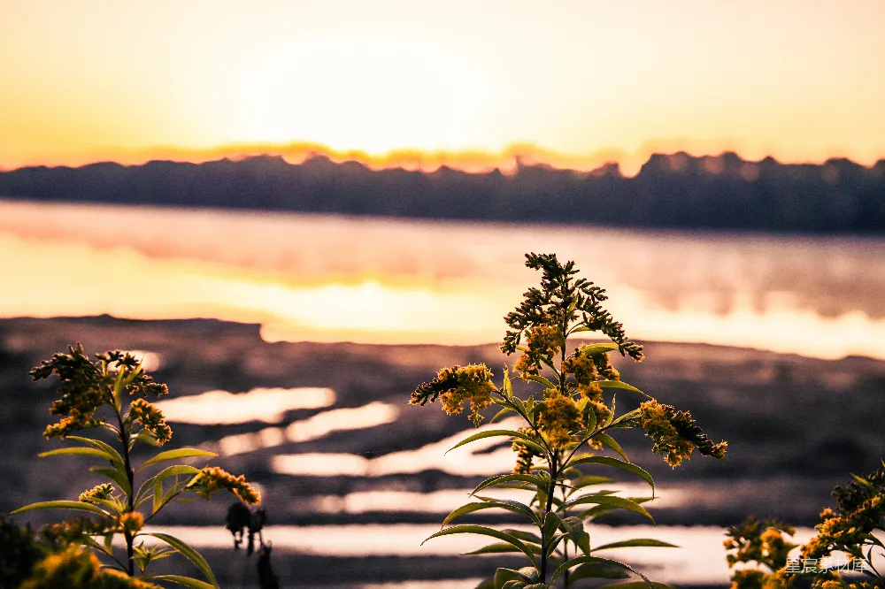 高清摄影 夕阳落到了一片水域之上