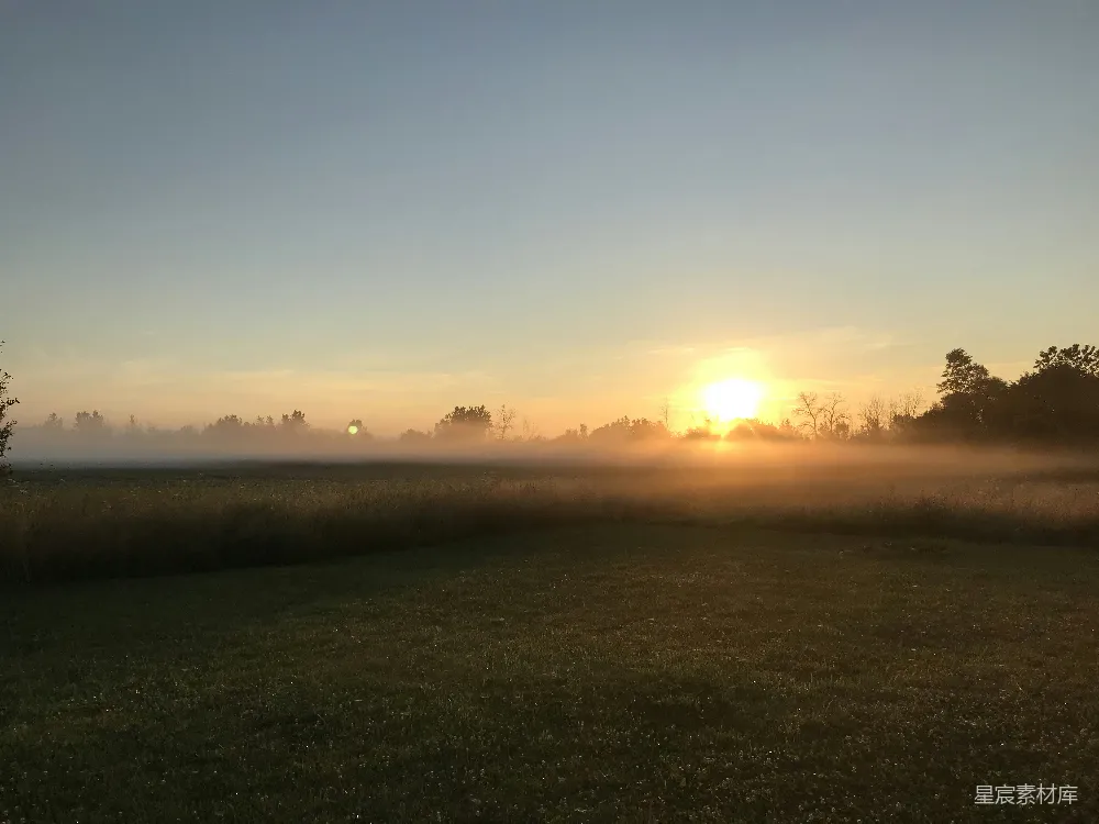 高清摄影  夕阳下的绿草场
