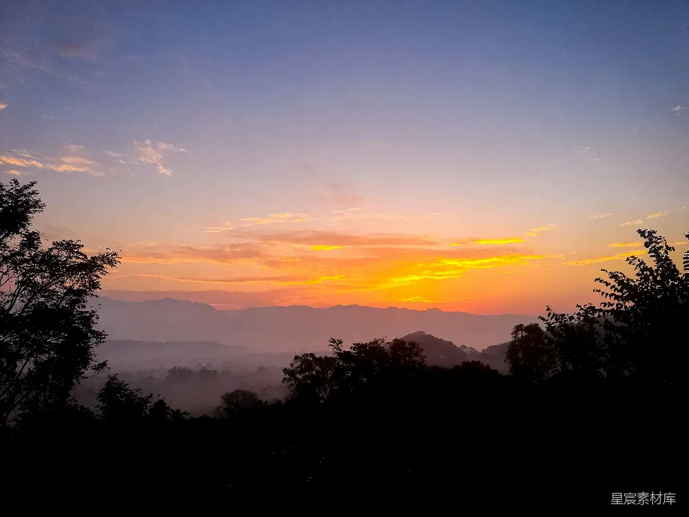 高清摄影 树影下的夕阳