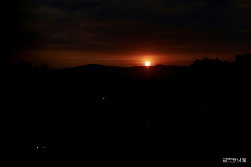 高清摄影 夕阳下的树影轮廓