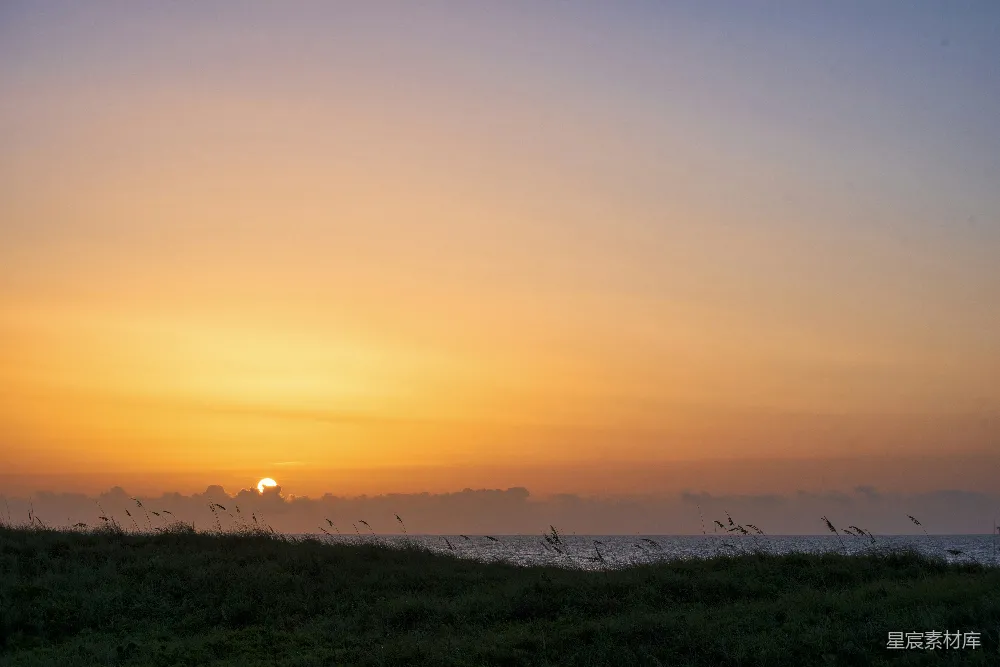 高清摄影 夕阳下的绿草 fields