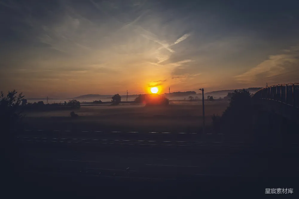 高清摄影 夕阳下的树影轮廓
