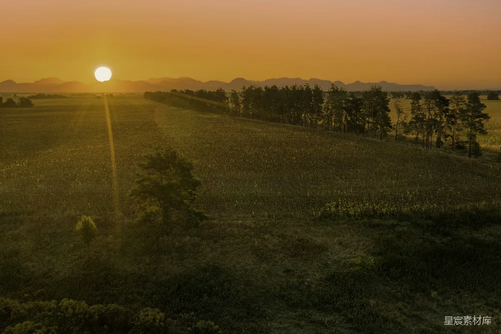 高清摄影 夕阳下的绿色草地