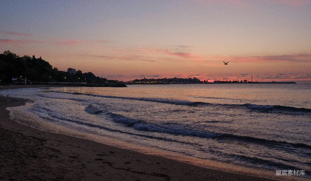 高清摄影 夕阳下飞翔于海洋之上的鸟儿