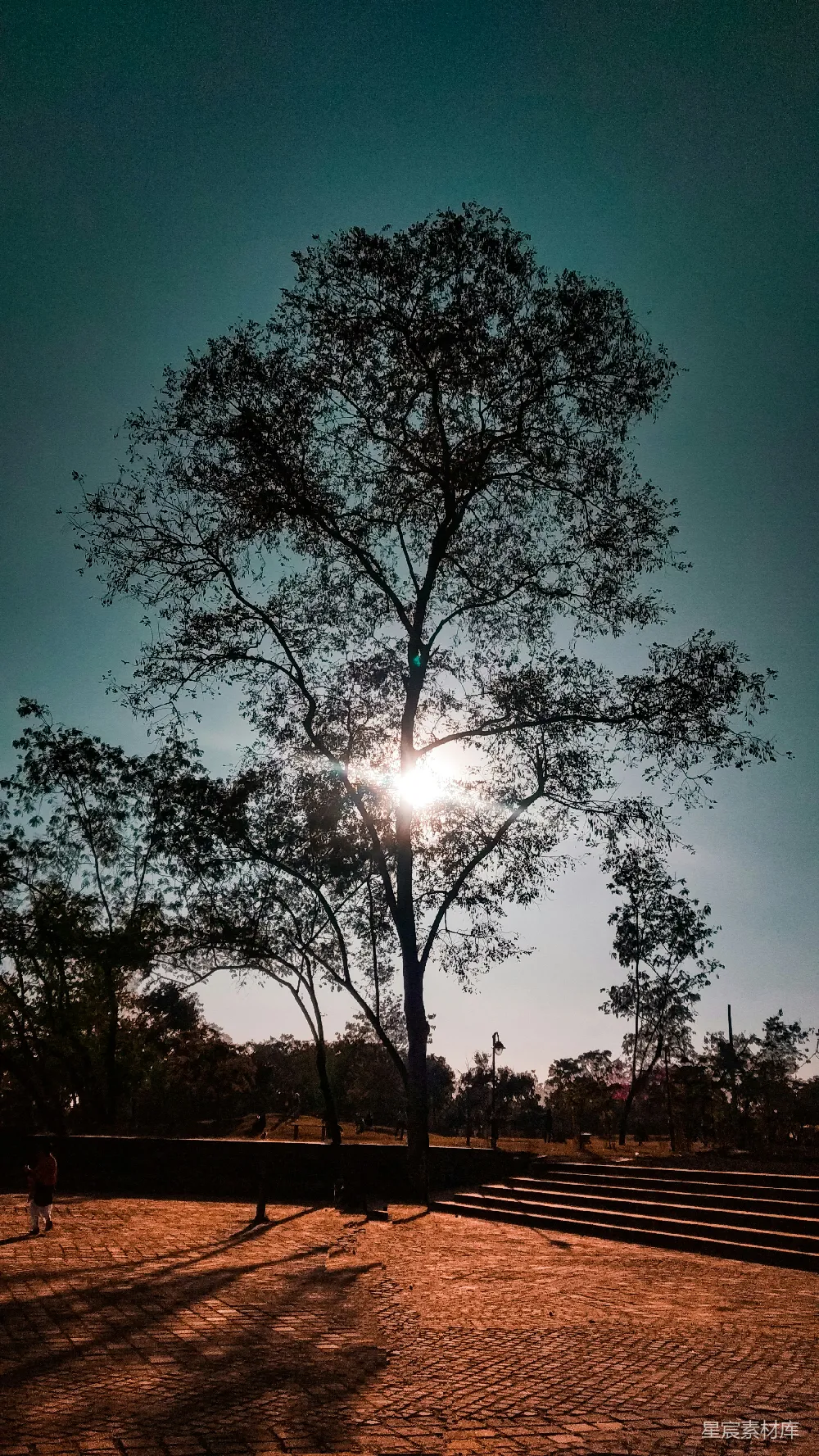 高清摄影 白天绿树蓝天下