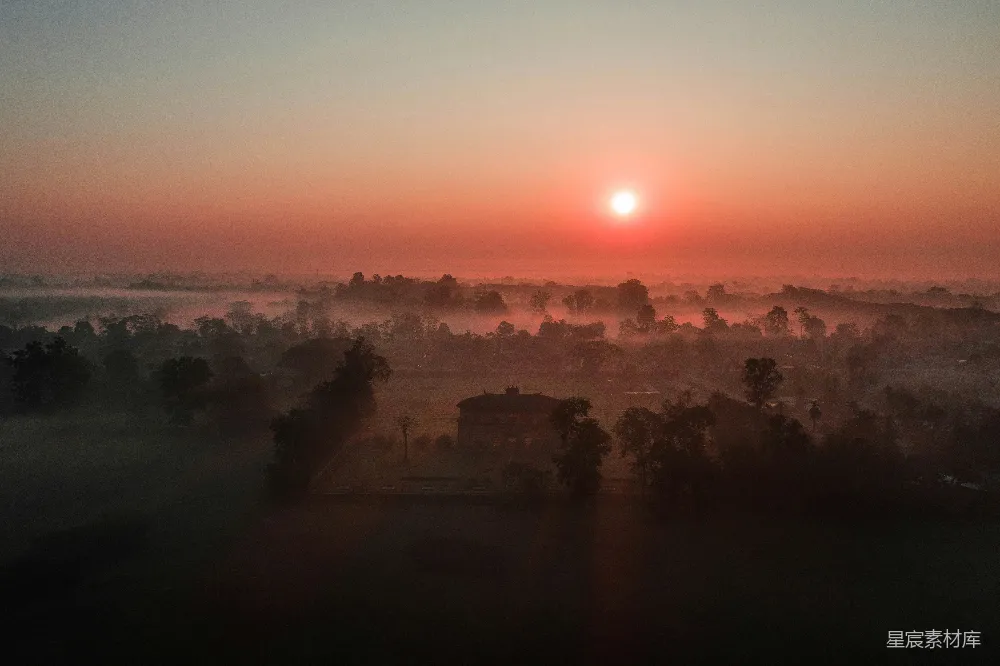 高清摄影 夕阳下的树影轮廓