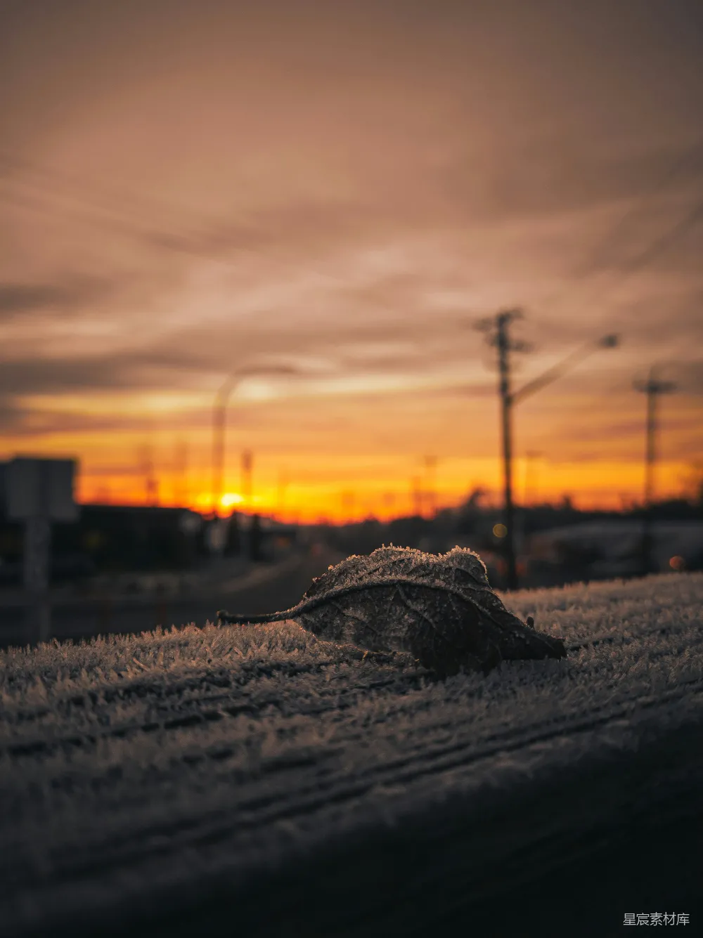 高清摄影 夕阳洒在一片草地上。