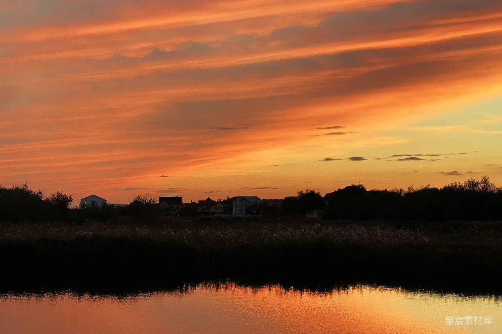高清摄影 夕阳下树木的轮廓映衬在水体旁