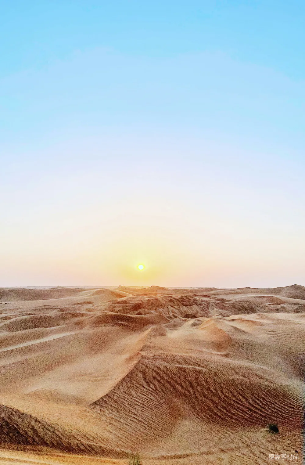 高清摄影 夕阳西下，沙漠景观。