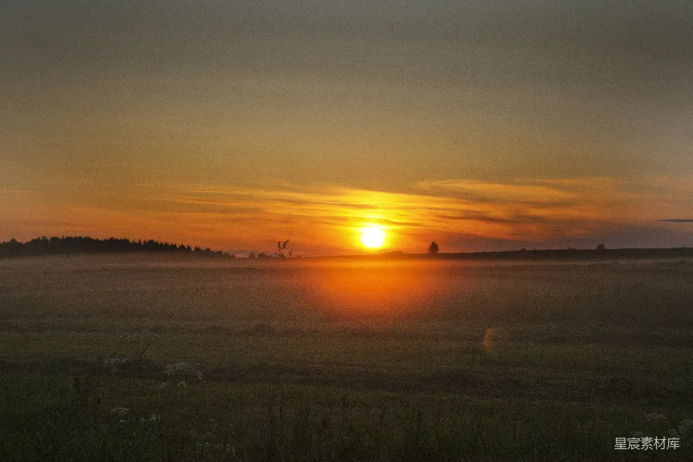 高清摄影 夕阳下的绿草地