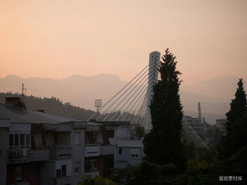 高清摄影 城市上空飞翔的一只鸟，背景有一座桥。