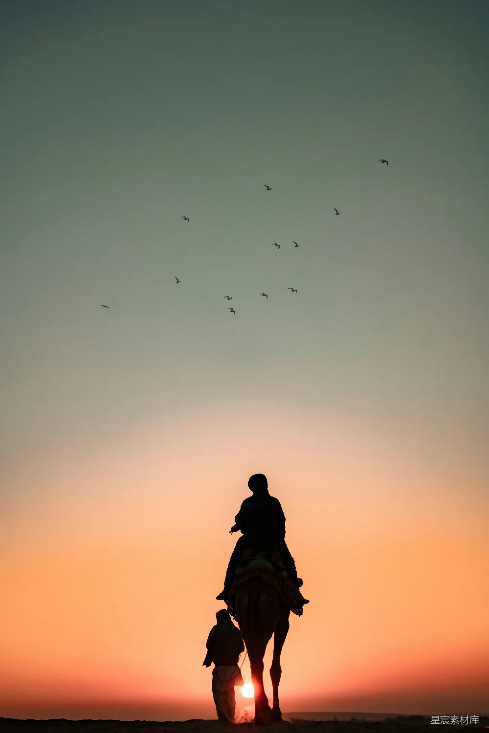 高清摄影 夕阳下骑马的人与天边的鸟儿在空中翱翔